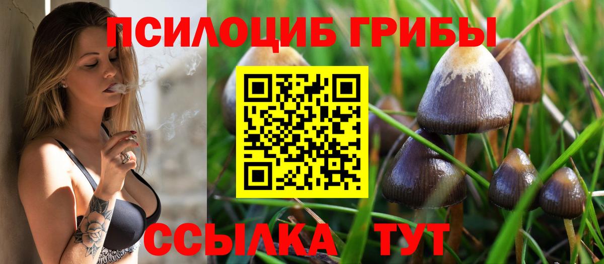 Кострома  Галлюциногенные грибы мухоморы  Вход с VPN  Галлюциногенные грибы GOLDEN TEACHER 